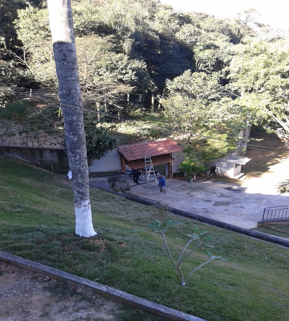 Fazenda à venda com 2 quartos, 600m² - Foto 8