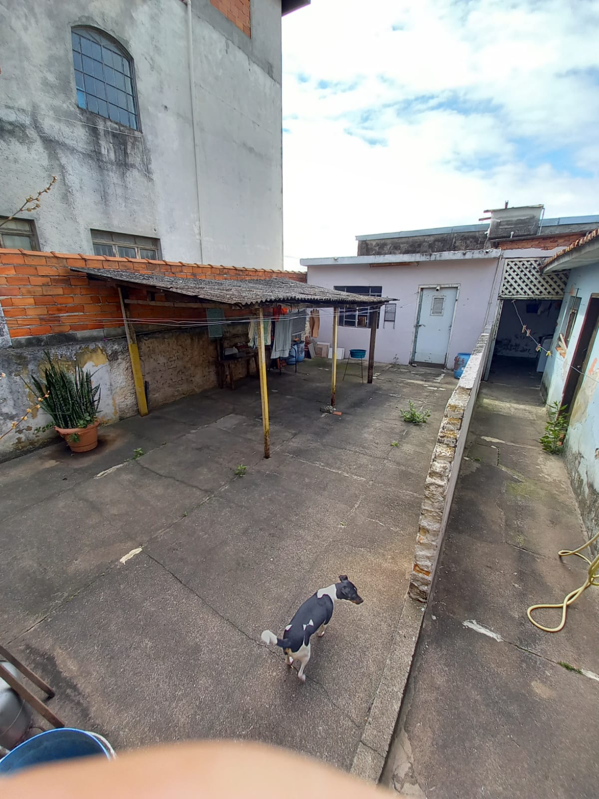 Terreno à venda com 2 quartos, 300m² - Foto 7