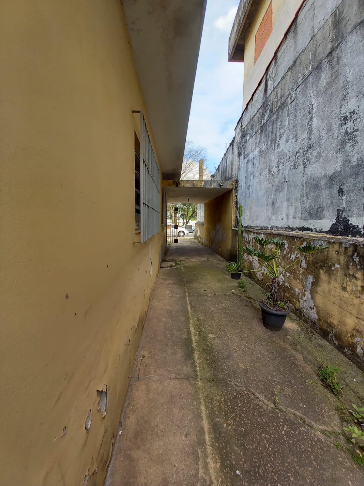 Terreno à venda com 2 quartos, 300m² - Foto 6