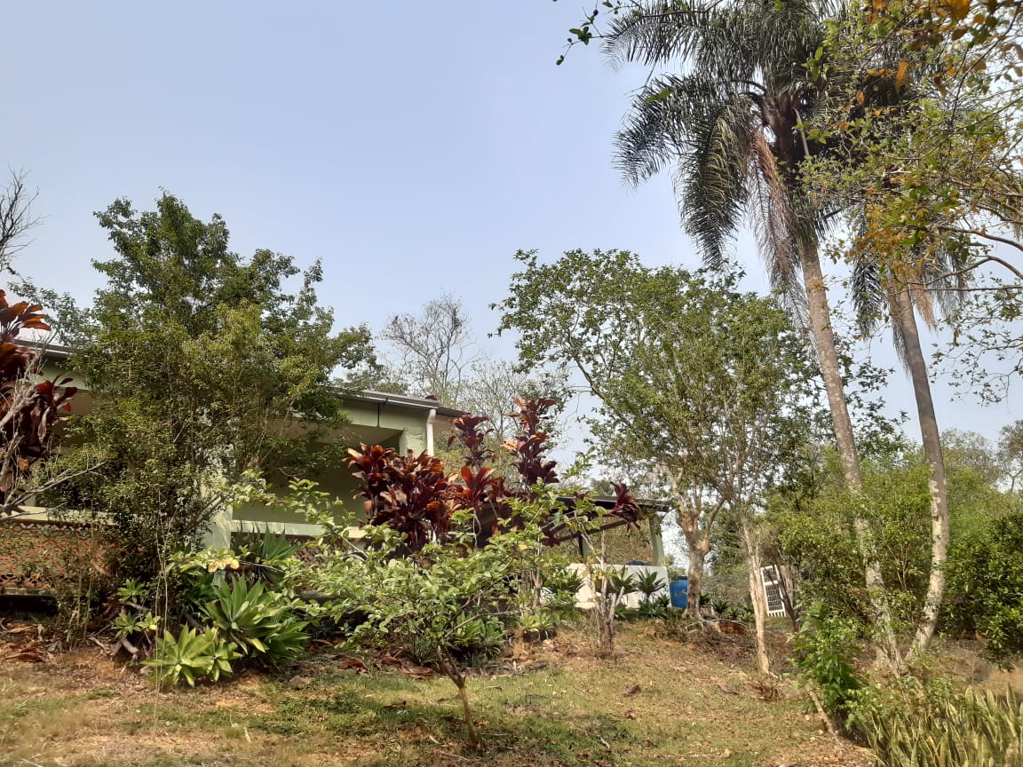 Sítio, 3 quartos, 3 hectares - Foto 18