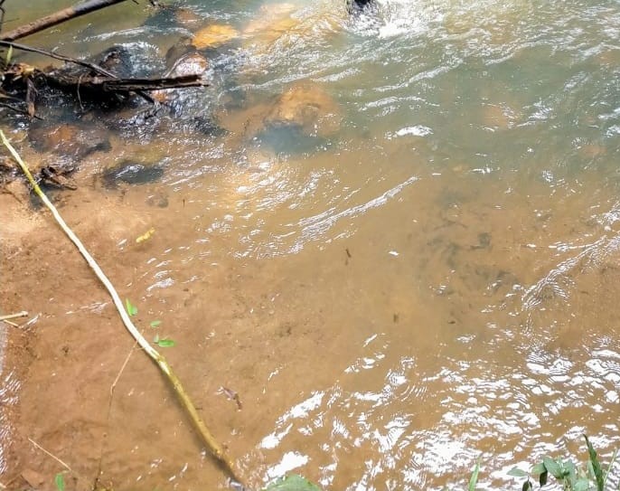 Sítio, 3 quartos, 3 hectares - Foto 20