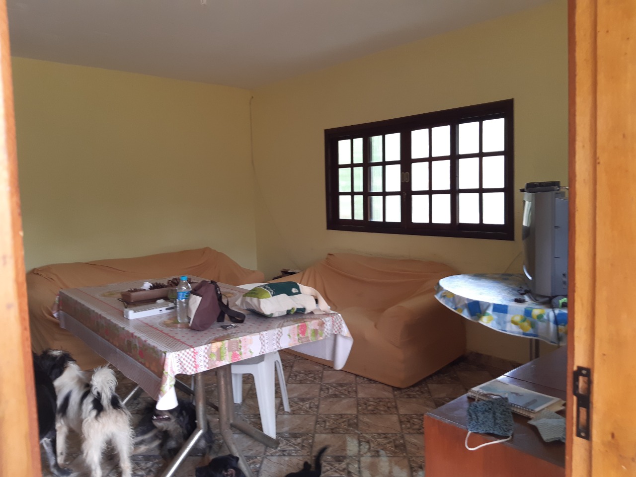 Sítio, 3 quartos, 3 hectares - Foto 6