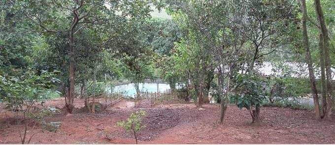 Sítio, 3 quartos, 3 hectares - Foto 16