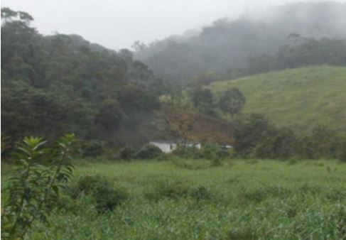 Sítio à venda com 2 quartos, 494000m² - Foto 10