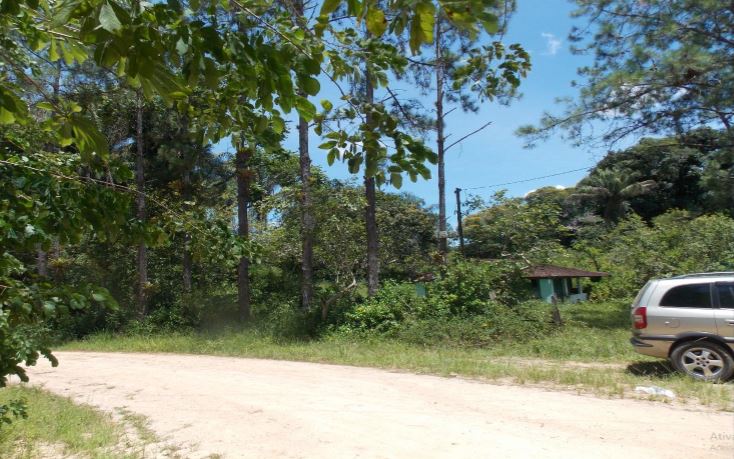 Sítio à venda com 2 quartos, 173000m² - Foto 9