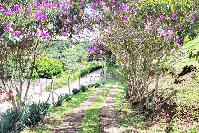 Chácara à venda com 3 quartos, 12000m² - Foto 9