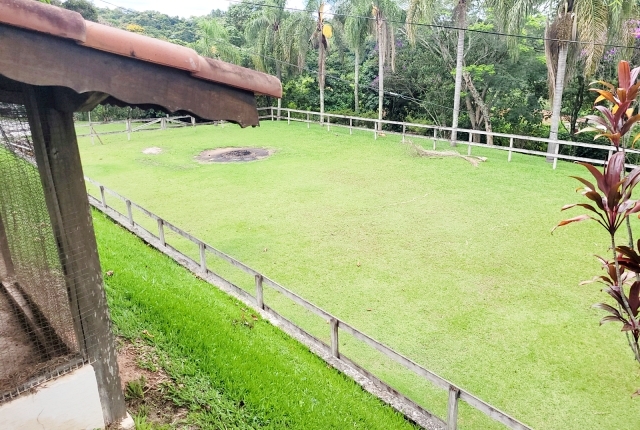Chácara à venda com 3 quartos, 12000m² - Foto 16