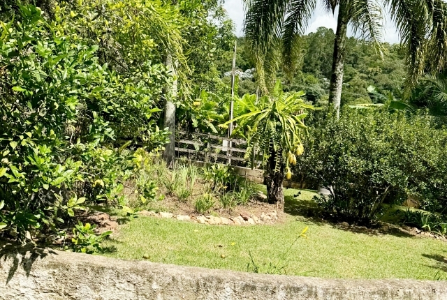Chácara à venda com 3 quartos, 12000m² - Foto 34