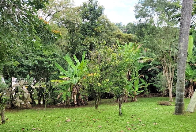 Chácara à venda com 3 quartos, 12000m² - Foto 11