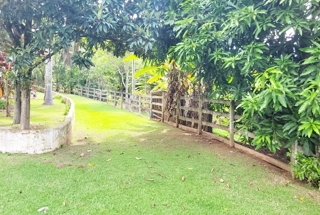 Chácara à venda com 3 quartos, 12000m² - Foto 26
