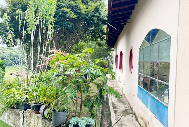 Chácara à venda com 3 quartos, 12000m² - Foto 22