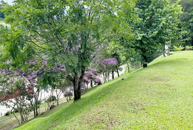 Chácara à venda com 3 quartos, 12000m² - Foto 33