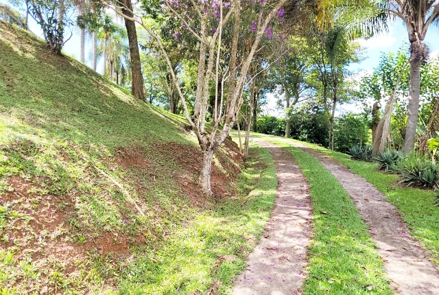 Chácara à venda com 3 quartos, 12000m² - Foto 8