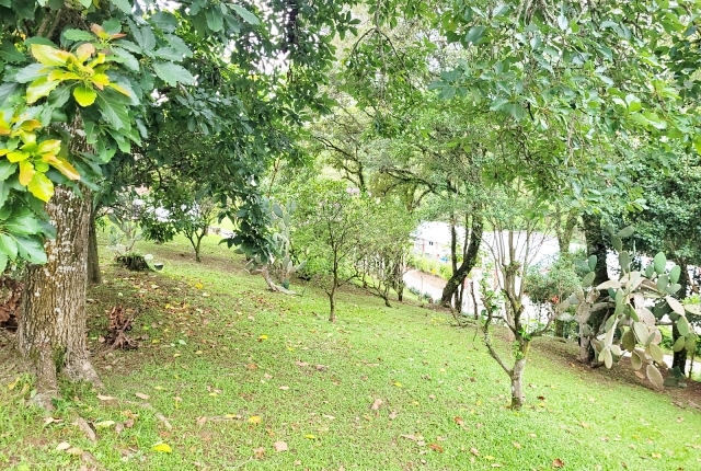 Chácara à venda com 3 quartos, 12000m² - Foto 12