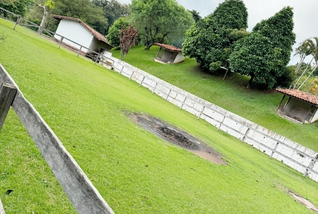 Chácara à venda com 3 quartos, 12000m² - Foto 4