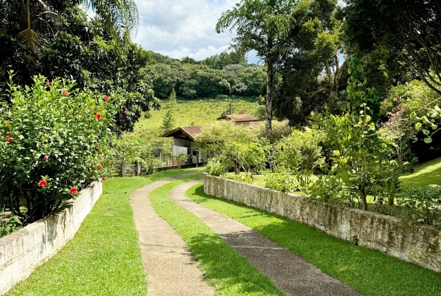 Chácara à venda com 3 quartos, 12000m² - Foto 31