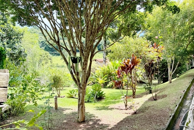 Chácara à venda com 3 quartos, 12000m² - Foto 32