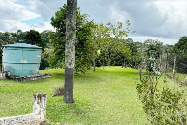 Chácara à venda com 3 quartos, 12000m² - Foto 5