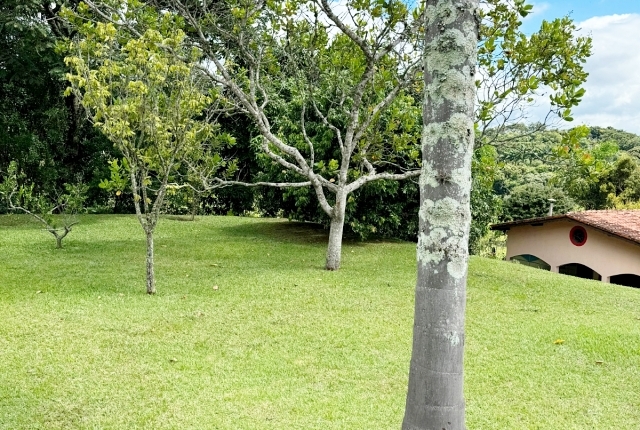 Chácara à venda com 3 quartos, 12000m² - Foto 35