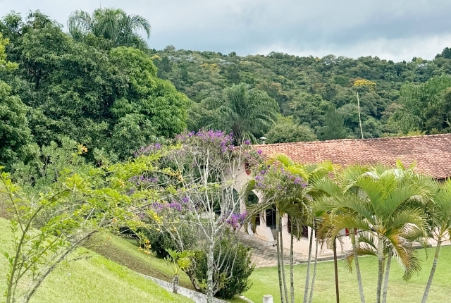 Chácara à venda com 3 quartos, 12000m² - Foto 10