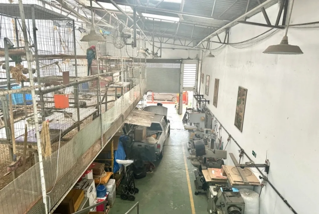 Depósito-Galpão - Foto 3