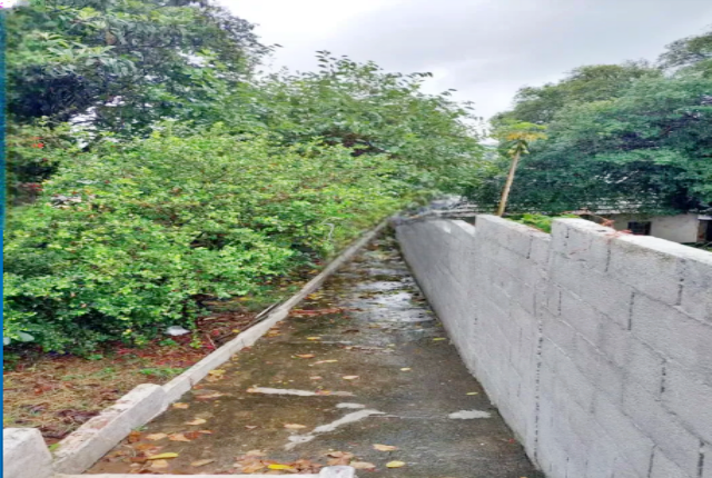 Casa, 3 quartos, 500 m² - Foto 6