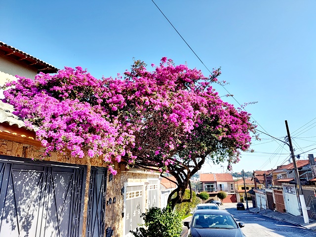 Sobrado, 3 quartos, 218 m² - Foto 49