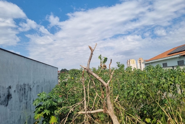 Terreno, 312 m² - Foto 5