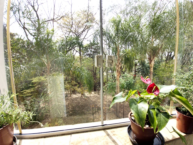 Apartamento, 3 quartos, 54 m² - Foto 13