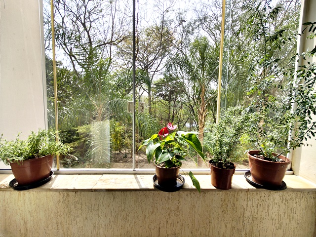 Apartamento, 3 quartos, 54 m² - Foto 12