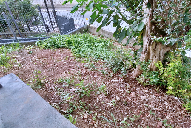 Terreno, 281 m² - Foto 41