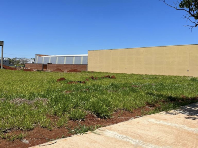 Terreno, 1000 m² - Foto 3