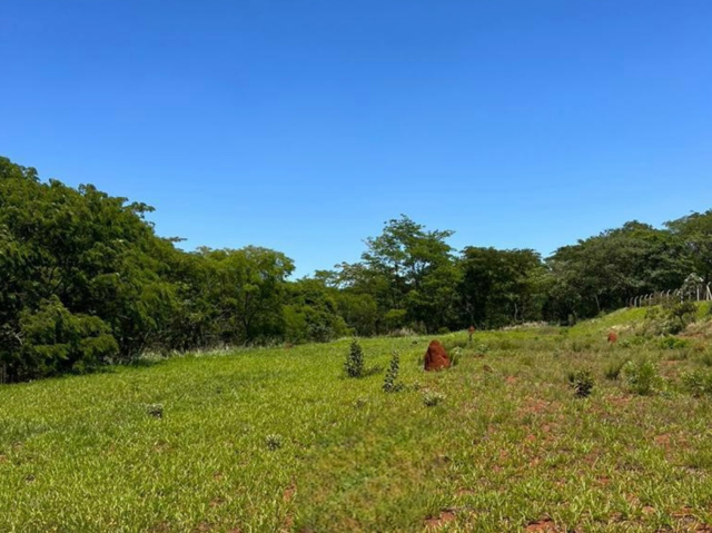 Terreno, 1000 m² - Foto 7