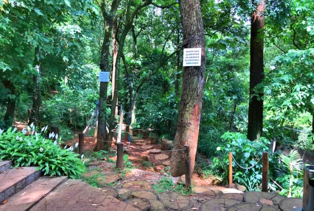 Sobrado, 2 quartos, 87 m² - Foto 39