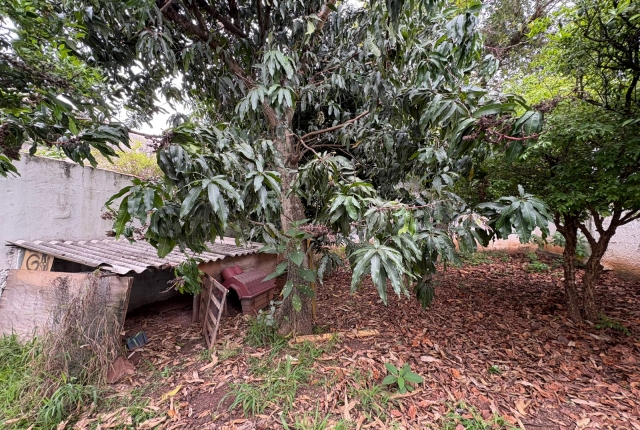 Terreno, 500 m² - Foto 5