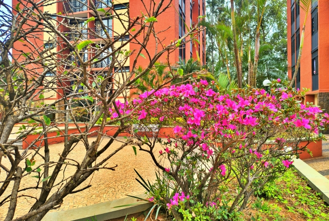 Apartamento, 3 quartos, 75 m² - Foto 73