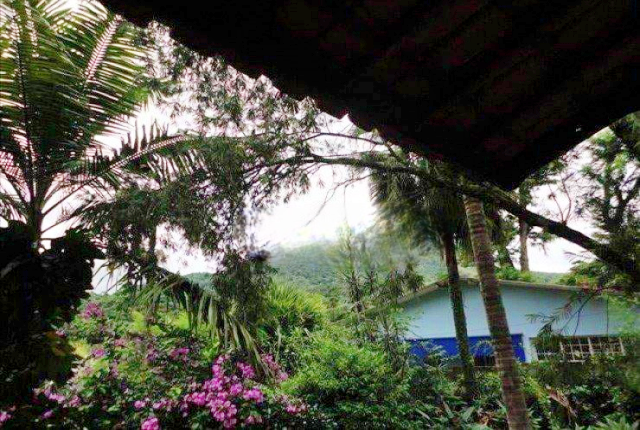 Casa, 5 quartos, 900 m² - Foto 5