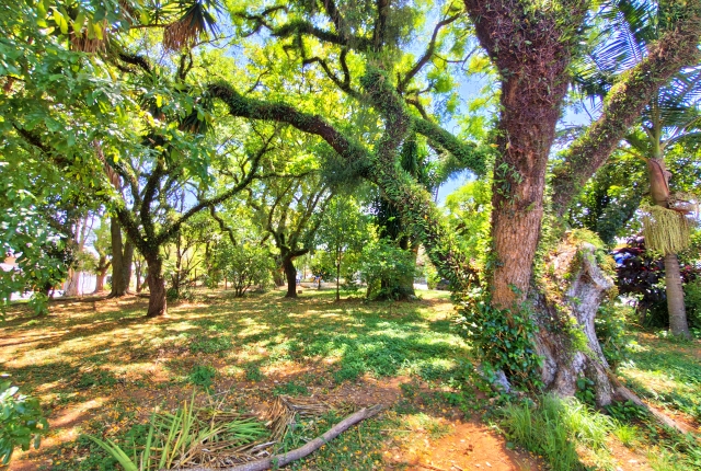 Casa, 3 quartos, 347 m² - Foto 56