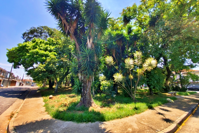 Casa, 3 quartos, 347 m² - Foto 57