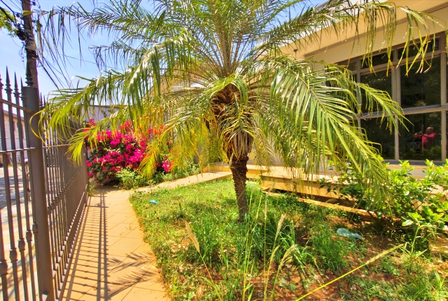 Casa, 3 quartos, 347 m² - Foto 53