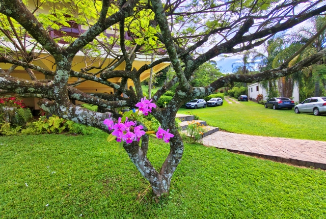 Chácara, 5 quartos - Foto 52