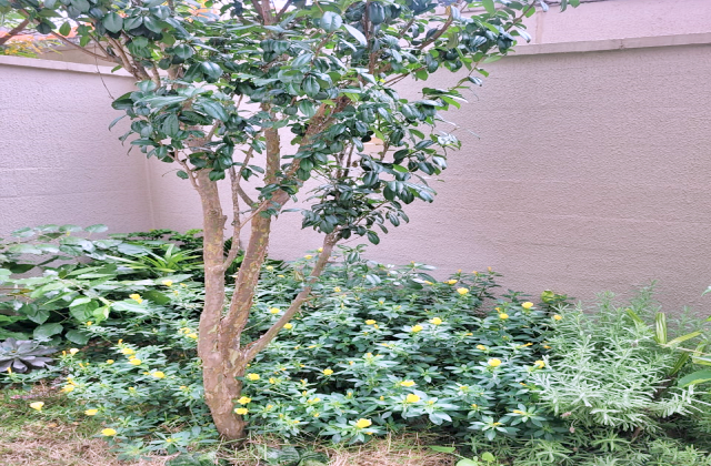 Apartamento, 3 quartos, 103 m² - Foto 17