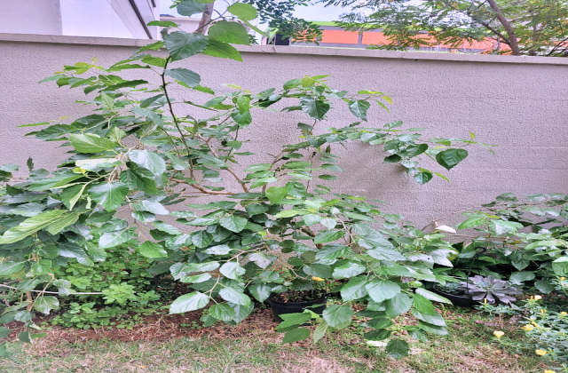 Apartamento, 3 quartos, 103 m² - Foto 16