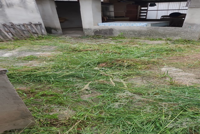 Terreno, 105 m² - Foto 3