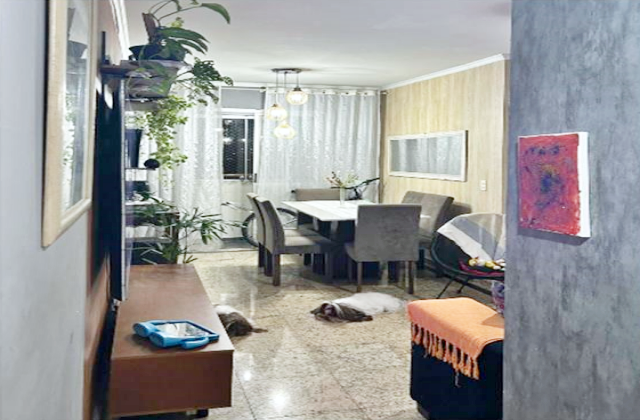 Apartamento, 3 quartos, 68 m² - Foto 1