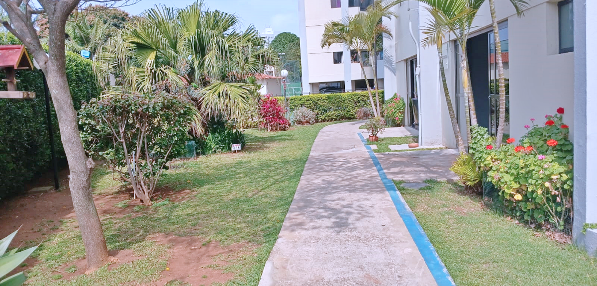 Apartamento, 3 quartos, 66 m² - Foto 15