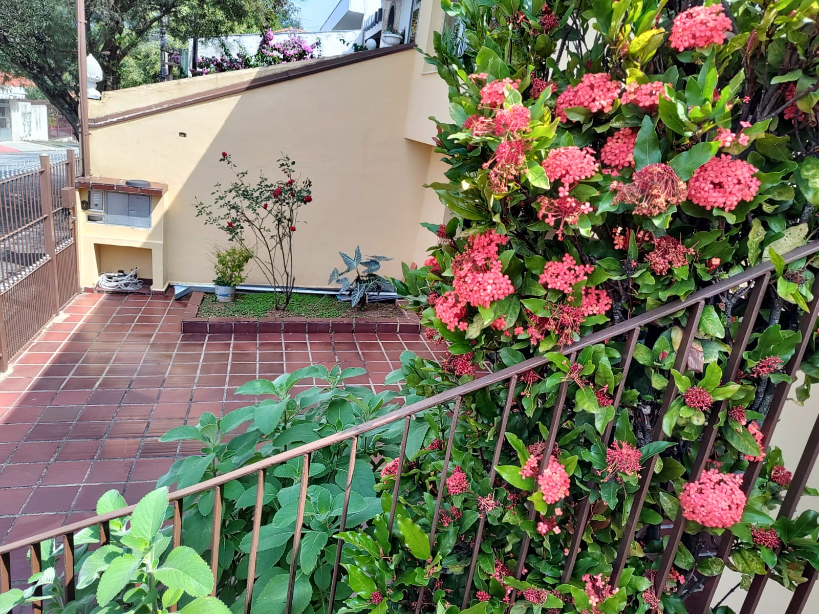 Casa, 3 quartos, 250 m² - Foto 1