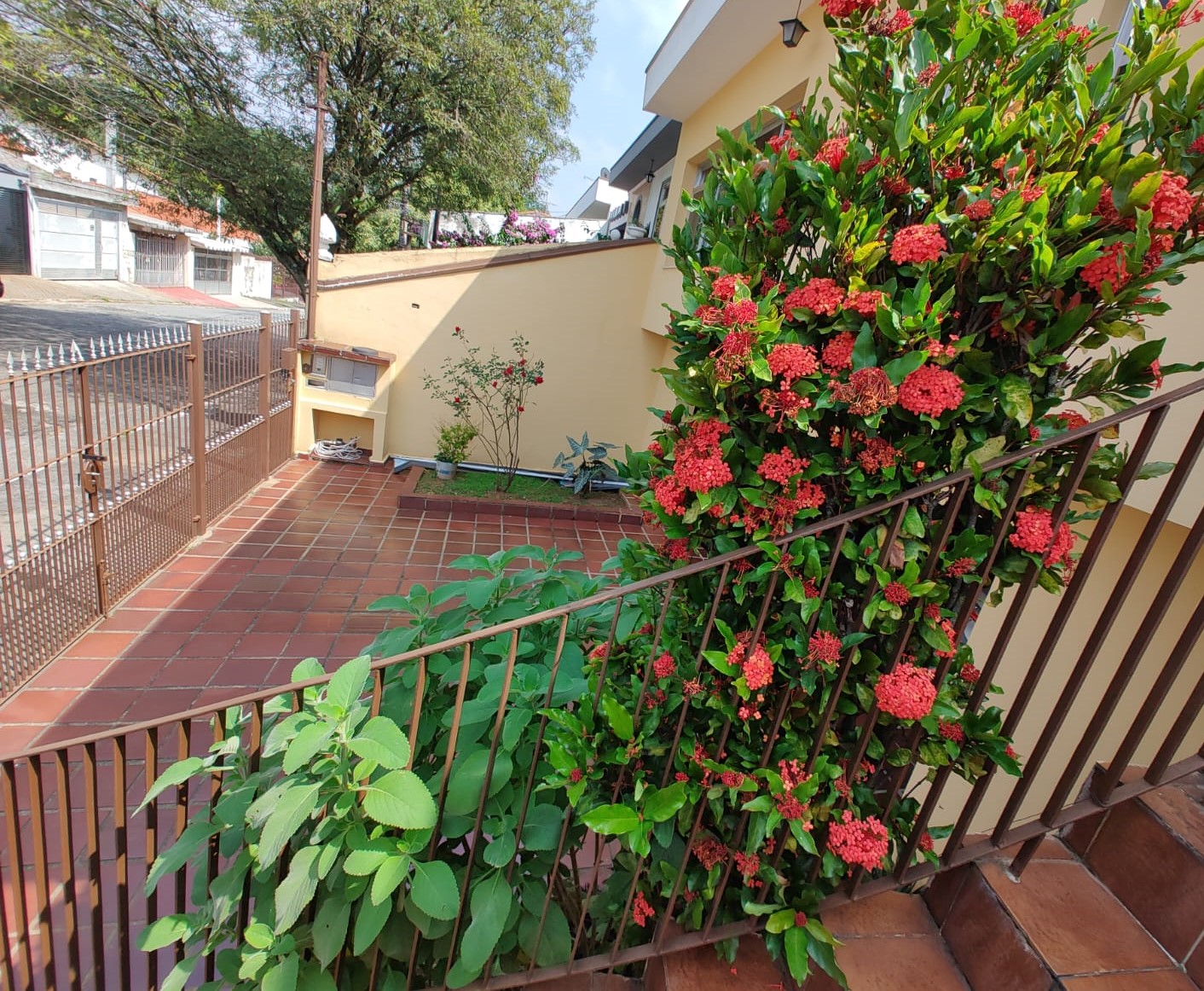 Casa, 3 quartos, 250 m² - Foto 12