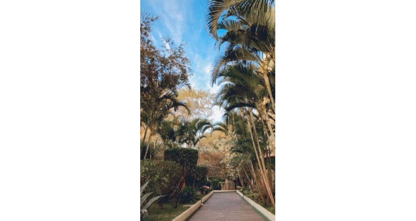 Apartamento à venda Avenida Santa Mônica, 593, Jardim Santa Mônica - Imóveis à Venda