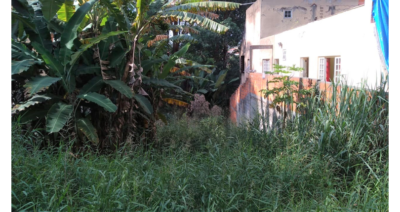 Terreno à venda Rua Sícano, City América - Imóveis à Venda